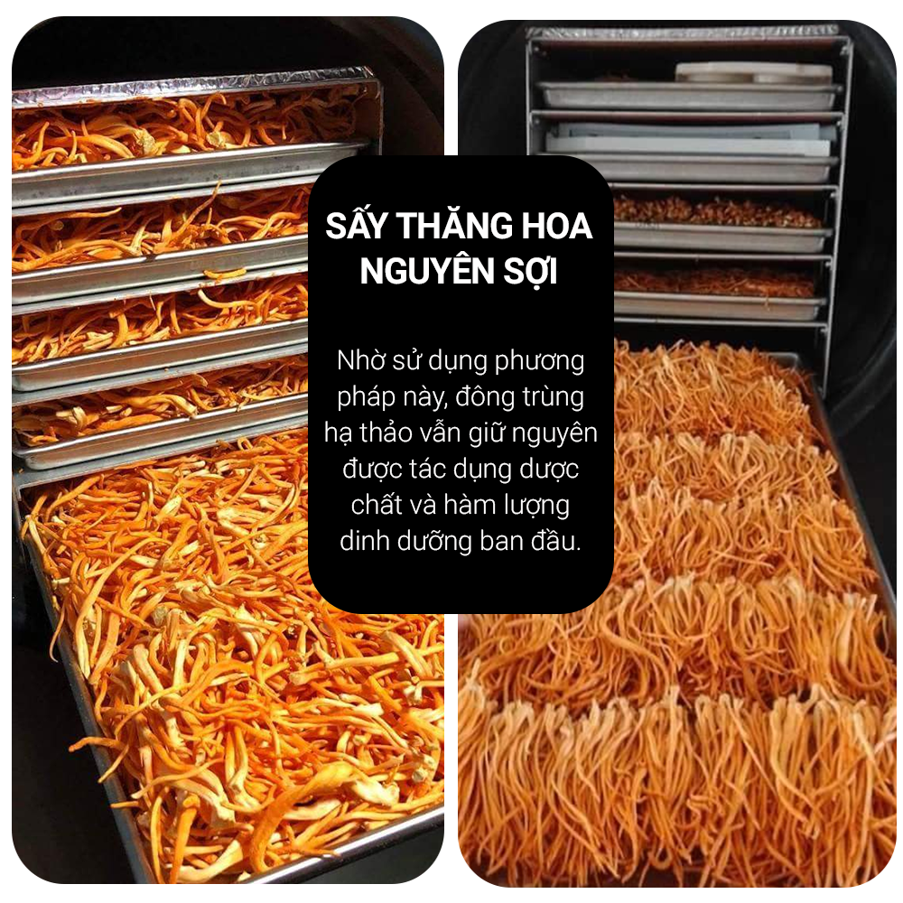 Đông Trùng Hạ Thảo Toro Sấy Thăng Hoa Tăng Cường Sinh Lý Nam