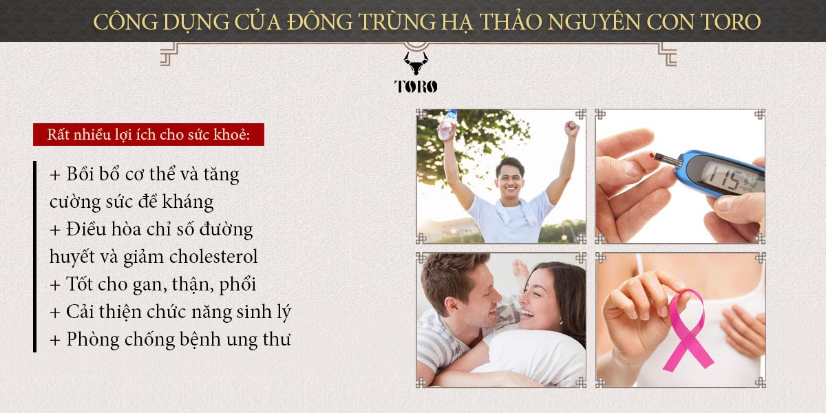 Đông Trùng Hạ Thảo Cao Cấp Tăng Sinh Lý Bồi Bổ Cơ Thể 5g Đông Trùng Hạ Thảo Cao Cấp Tăng Sinh Lý Bồi Bổ Cơ Thể 5g