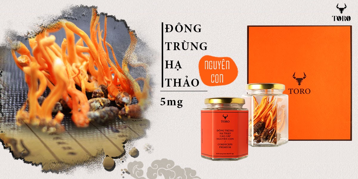 Đông Trùng Hạ Thảo Cao Cấp Tăng Sinh Lý Bồi Bổ Cơ Thể 5g Đông Trùng Hạ Thảo Cao Cấp Tăng Sinh Lý Bồi Bổ Cơ Thể 5g
