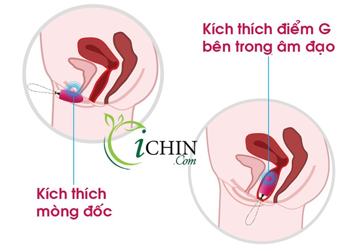Svakom Elva Mini rung mạnh 5 chế độ silicon mịn pin sạc tiện lợi dễ dùng