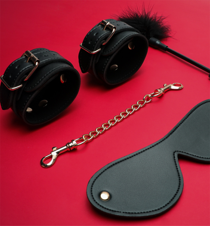 Bộ quà tặng Svakom Gift Box BDSM Phoenix Neo cao cấp