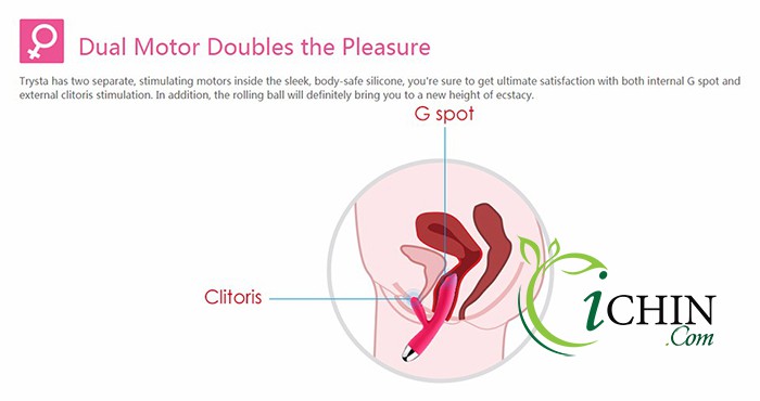 Svakom Trysta cao cấp 35 chế độ rung 2 động cơ mạnh mẽ Svakom Trysta cao cấp 35 chế độ rung 2 động cơ mạnh mẽ