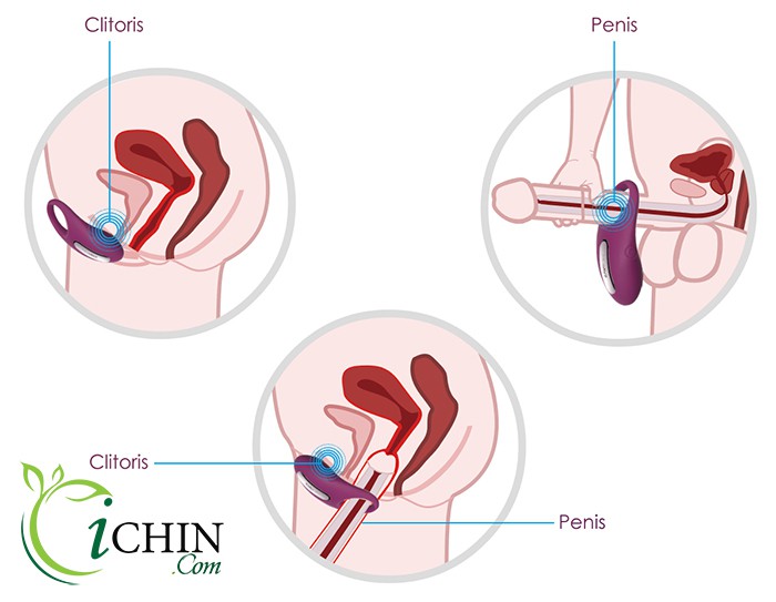 Svakom Winni cao cấp điều khiển từ xa rung sạc tiện lợi