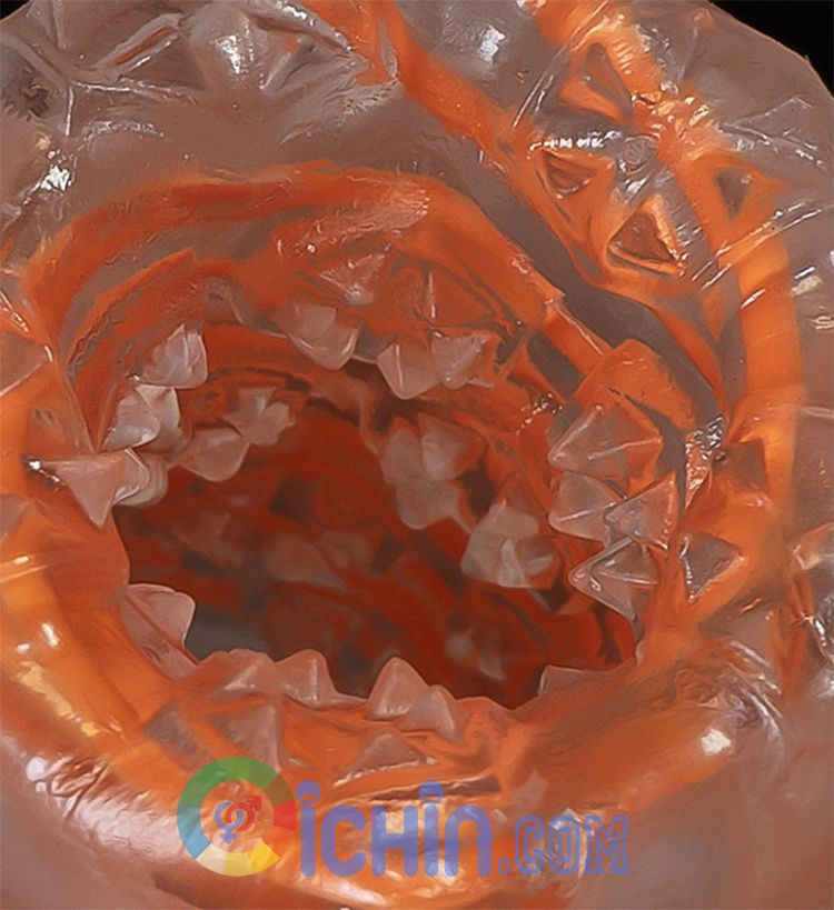 Tenga Spinner cốc thủ dâm silicone cao cấp 6 kiểu dáng độc đáo