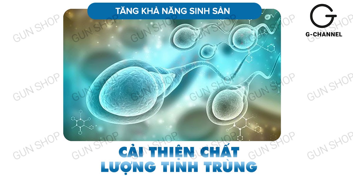 Maxman cương dương kéo dài thời gian chống xuất tinh sớm hộp 10 viên