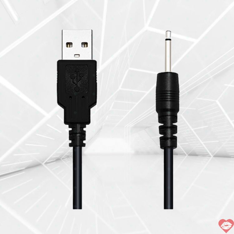 Dây Sạc Lovense Chính Hãng Bền Bỉ An Toàn 